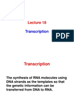 Lecture 18-Cell Biology PDF
