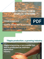 tilapia production in biofloc systems ( PDFDrive.com ).pdf