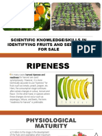 Knowledge Skills in Identifying Fruits Seedlings For Sale