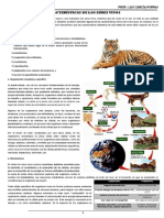 Separata de Caracteristicas de Los Seres Vivos