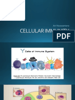 04 Cellular Immunity