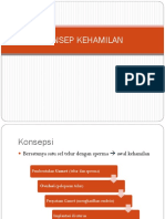 Adaptasi Fisik Dan Psik Ologis Kehamilan