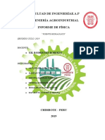 Monografia de Fisica Ii Ciclo