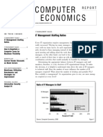 Economics Computer: IT Management Staffing Ratios