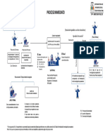 Esquema de Proceso Inmediato.pdf