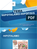 Clase Hipotalamo Hipofisis