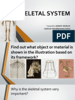 Skeletal System: Structure, Functions and Types of Bones