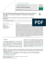 Journal of Plant Physiology 244 (2020) 153084