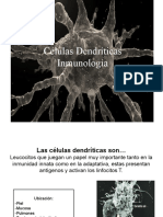 Celula Dendritica
