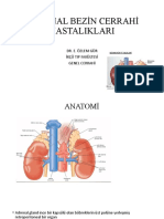 Adrenal Bez Cerrahi Hastalık)