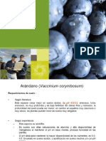 Aranandano Fertirriego PDF