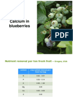 Calcium in Blueberries PDF