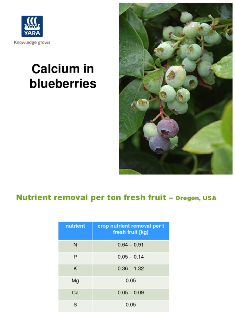 Calcium in Blueberries PDF PDF Blueberry Nutrients