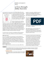 Lumbar-Core Strength and Stability Exercises (2).pdf
