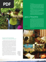 Uma Ponte para a Amazônia