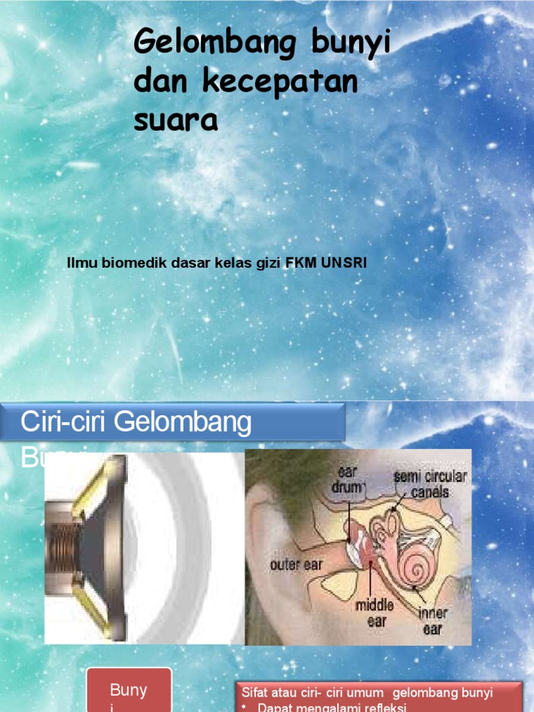Gelombang Bunyi | PDF