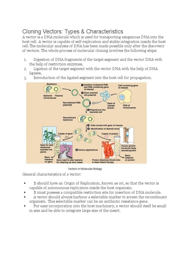 Cloning Vectors: Types and Features | PDF | Plasmid | Molecular Cloning