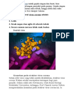 KERANGKA MATERI COVID - 19.docx