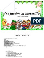 proiect_mirela.doc