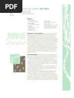 Characteristics of Wool