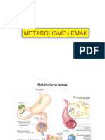 3.metabolisme Lemak