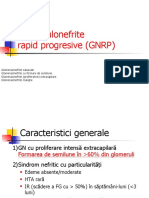 Curs 3-GNRP - final (1)