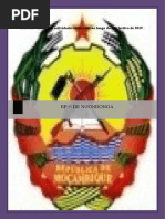 Relatorio anual 2019.docx