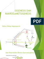 Lecture 5. Makrosporogenesis Dan Makrogametogenesis
