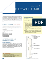 Chapter06 - TheLowerLimb - 122 - 149 Grant