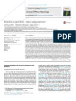 Potassium in Agriculture - Status and Perspectives