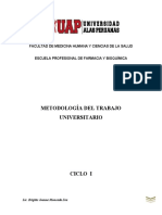 METODOLOGIA DEL TRABAJO UNIVERSITARIO - SILABOS DESARROLLADO (1).docx