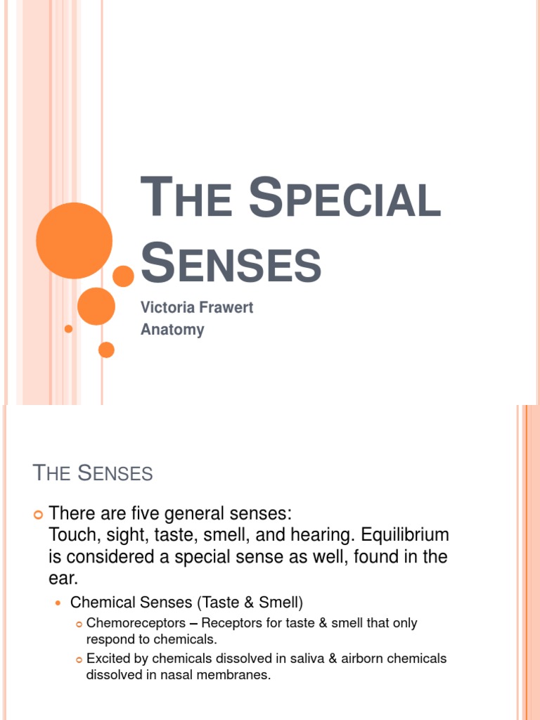 Overview of Special Senses | PDF | Ear | Taste