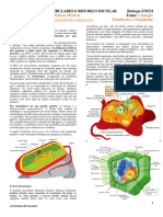 Citologia: Membrana e Citoplasma