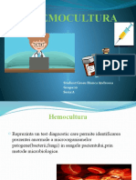 HEMOCULTURA.pptx