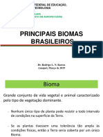 Principais biomas brasileiros