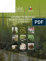 Manual Viverizacia Nativo 2009 - Chile (1).pdf