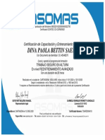 Dina Paola Bettin Saenz Certificado Tsa PDF