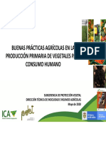 ICA - Presentación Vegetales PDET