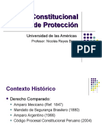 Accion Constitucional de Proteccion