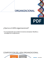 Clase2 ADN ORGANIZACIONAL PDF