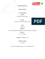 Cambios Anatomicos y Fisiologicos