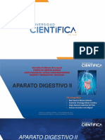 Digestivo Ii - Intestino Delgado y Grueso