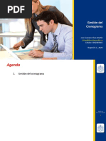 11GPE Gestión Cronograma PDF