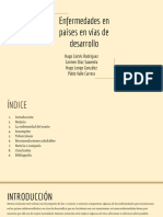 Enfermedades en Países en Vías de Desarrollo 2