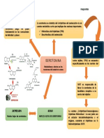 SEROTONINA