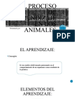 El proceso de aprendizaje en los animales