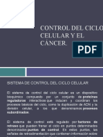 Control del ciclo celular y el  cáncer