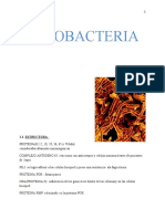 MICOBACTERIA