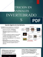 Nutrición en Animales Invertebrados