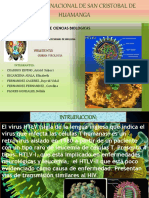 virologia-htlv-1234-170802015128